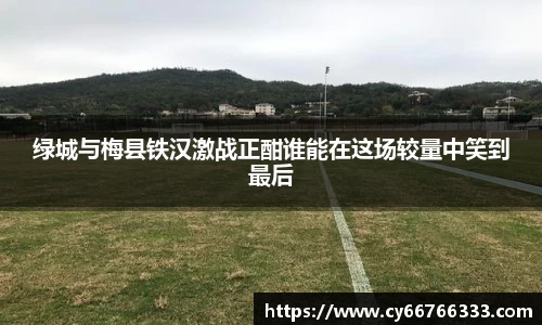 彩神VI首页