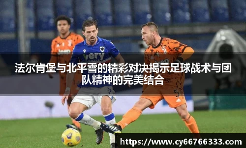 彩神VI首页
